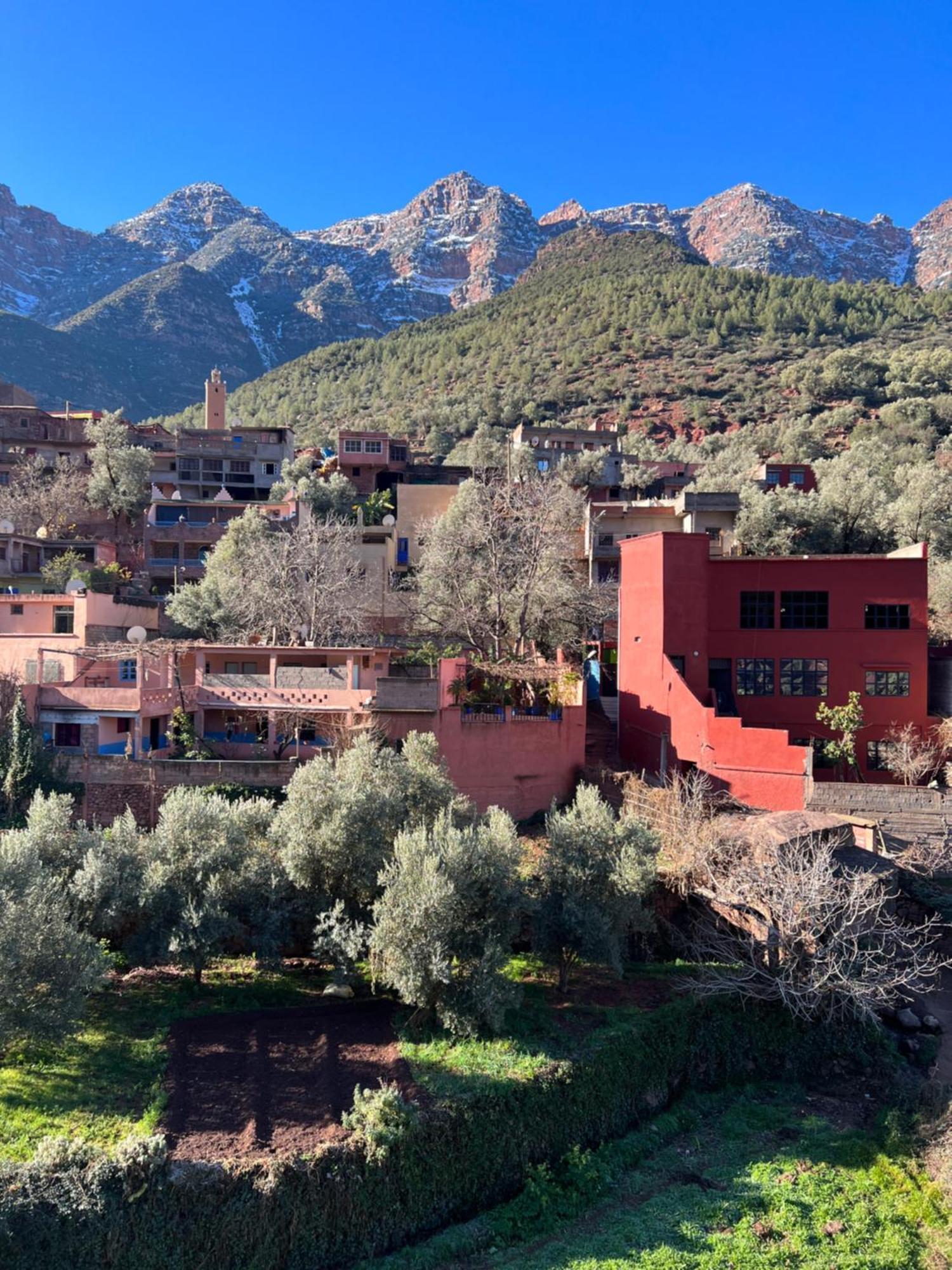 Tazart Lodge Marrakesh Esterno foto