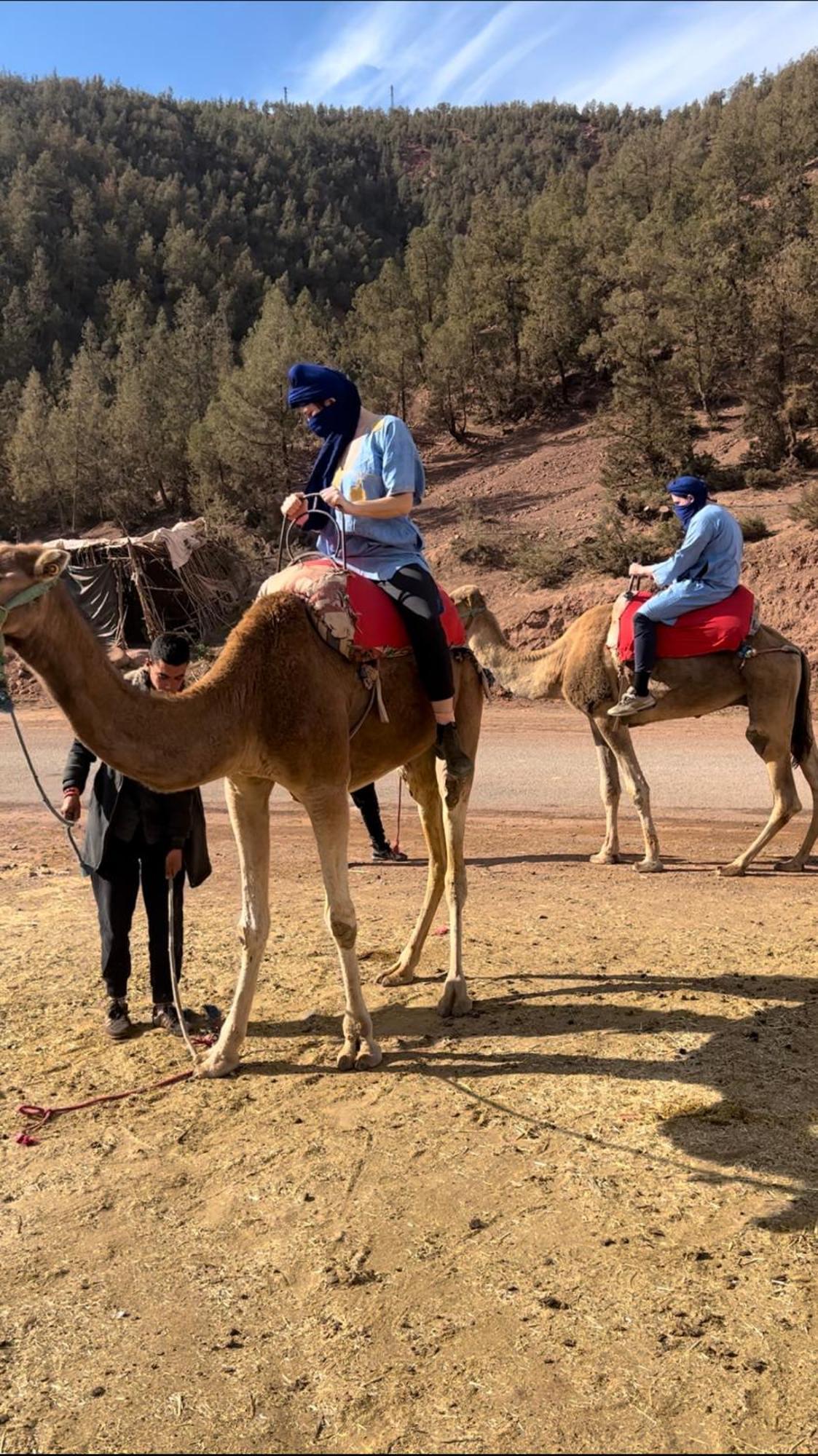 Tazart Lodge Marrakesh Esterno foto